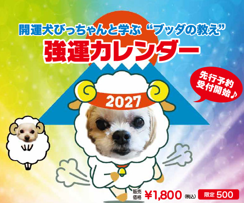 �J�^���т������̋��^�J�����_�[2027